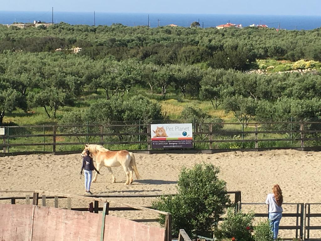 Arion Stables & Apartments Hersonissos  Exterior photo